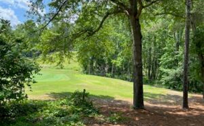 Pictures of Land property located at 60 Shagbark Court, Aiken, SC 29803 for sales - image #1