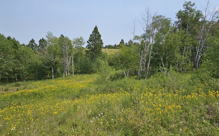 Pictures of Land property located at 20933 Majestic Hts Rd, Sturgis, SD 57785 for sales - image #1