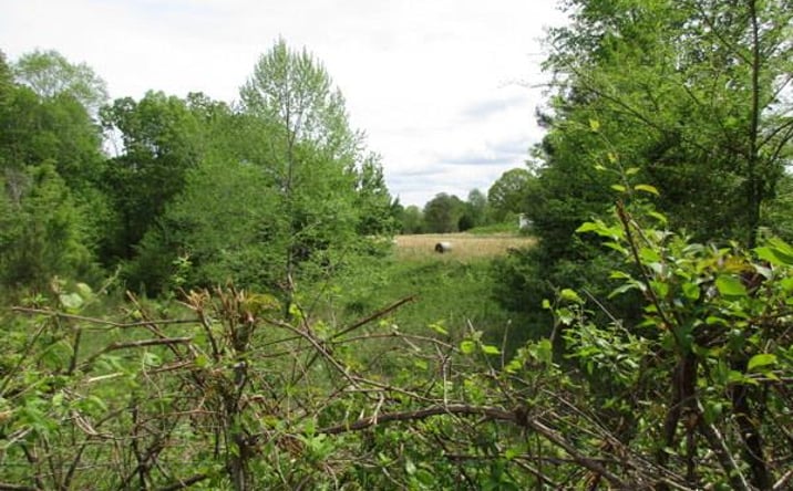 Pictures of Land property located at 0 Independence Rd, Huntingdon, TN 38344 for sales - image #1