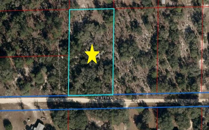 Pictures of Land property located at Lot 115 NE 87th Pl, Bronson, FL 32621 for sales - image #1