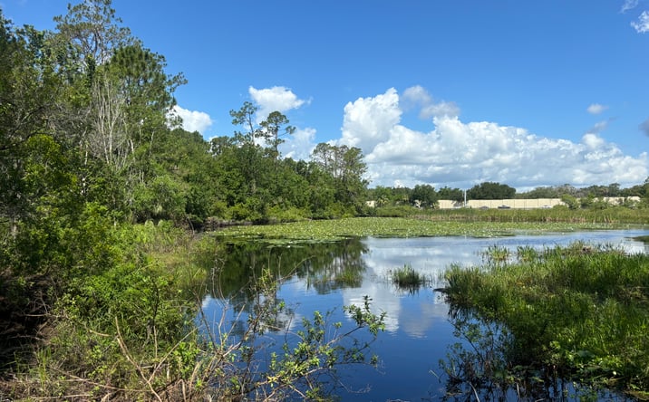 Pictures of Land property located at 28651 Tupper Rd, Wesley Chapel, FL 33545 for sales - image #1