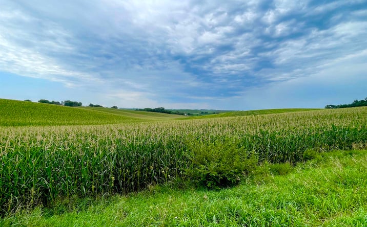 Pictures of Land property located at TBD Old Hwy 141, Sergeant Bluff, IA 51054 for sales - image #1