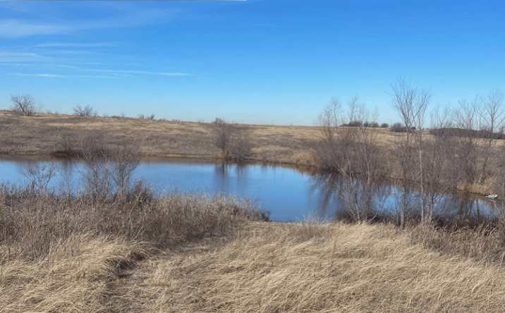 Pictures of Land property located at TBD FM 85, Ennis, TX 75119 for sales - image #1