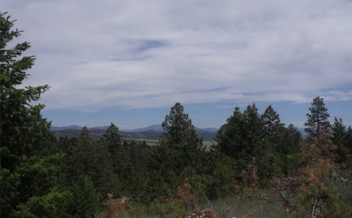Pictures of Land property located at TBD Hidden Springs Drive, Helena, MT 59602 for sales - image #1