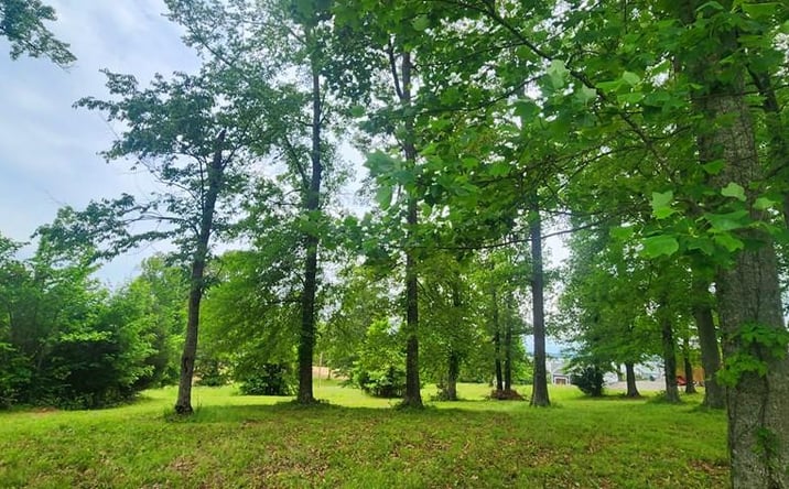 Pictures of Land, Multifamily property located at Overlook Ridge, Big Sandy, TN 38221 for sales - image #1