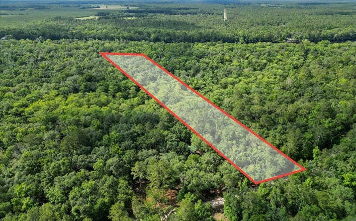 Pictures of Land property located at Earl Blvd, Branford, FL 32008 for sales - image #1
