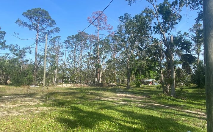 Pictures of Land property located at 0 Main St, Steinhatchee, FL 32359 for sales - image #1