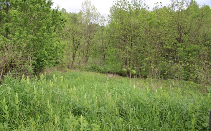 Pictures of Land property located at 0 Township Rd 4, Frazeysburg, OH 43822 for sales - image #1