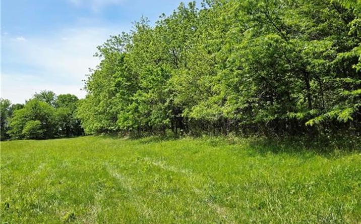 Pictures of Land, Multifamily property located at Lot 16 Deer View Estates Road, Holden, MO 64040 for sales - image #1