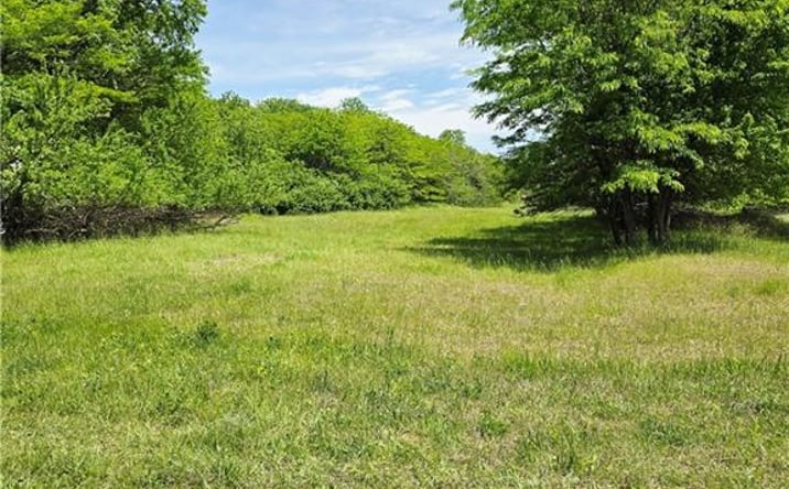Pictures of Land, Multifamily property located at Lot 12 Deer View Estates Road, Holden, MO 64040 for sales - image #1