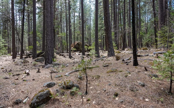 Pictures of Land property located at 9936 Sniktaw Lane, Fort Jones, CA 96032-9745 for sales - image #1