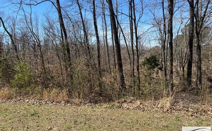 Pictures of Land property located at 000 Skyline Dr., Huntingdon, TN 38344 for sales - image #1