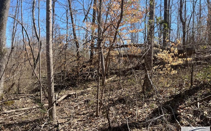 Pictures of Land property located at 00 Skyline Dr, Huntingdon, TN 38344 for sales - image #1