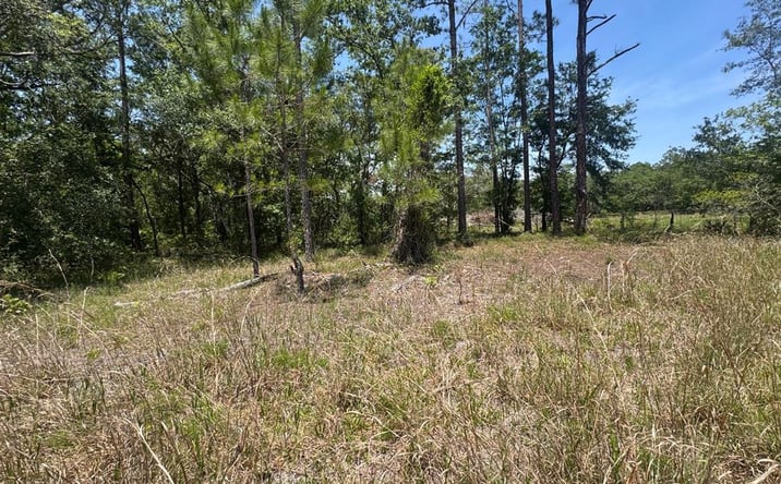 Pictures of Land property located at NE 126th St, Bronson, FL 32621 for sales - image #1
