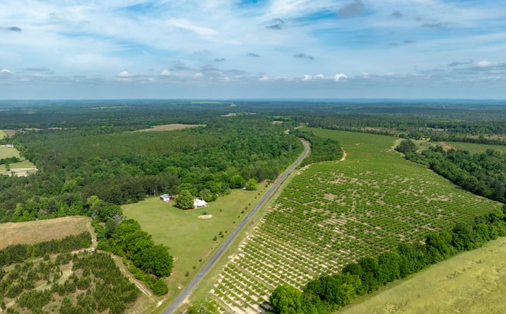 Pictures of Land, Mixed Use property located at 160 Underwood Rd, Reynolds, GA 31076 for sales - image #1