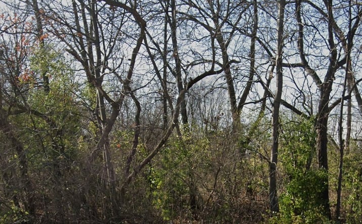 Pictures of Land property located at 160 N US Hwy12, Fox Lake, IL 60020 for sales - image #1