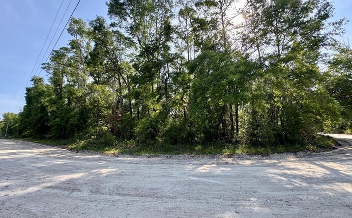 Pictures of Land property located at LOT 58 NE 170th St, Old Town, FL 32680 for sales - image #1