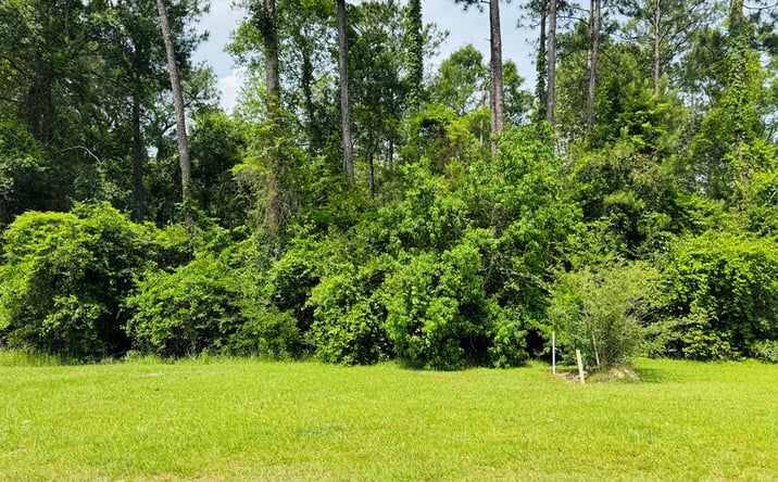 Pictures of Land property located at Lot 83 Spring Oak Dr., Carriere, MS 39426 for sales - image #1