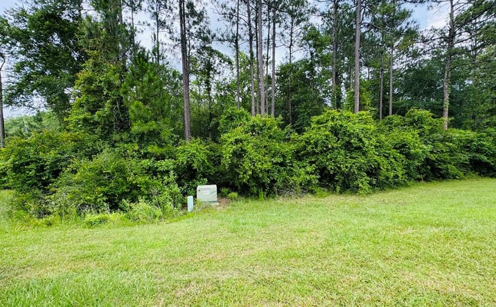 Pictures of Land property located at Lot 79 Spring Oak Dr., Carriere, MS 39426 for sales - image #1