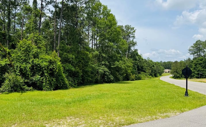 Pictures of Land property located at Lot 84 Spring Oak Dr., Carriere, MS 39426 for sales - image #1