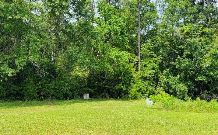 Pictures of Land property located at Lot 82 Spring Oak Dr., Carriere, MS 39426 for sales - image #1