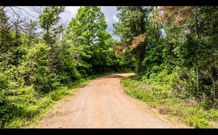 Pictures of Land property located at Lakewood Road, Amity, AR 71921 for sales - image #1
