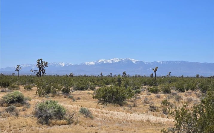 Pictures of Land property located at Beaver Ave, Adelanto, CA 92301 for sales - image #1