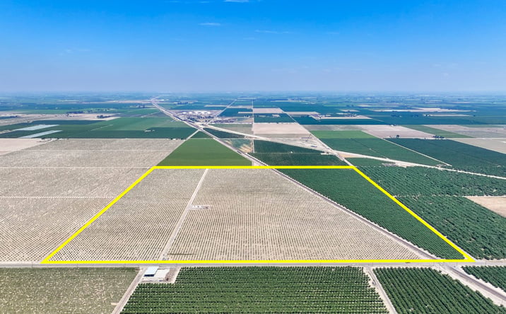 Pictures of Land property located at 16495 S Minnewawa Ave, Selma, CA 93662 for sales - image #1