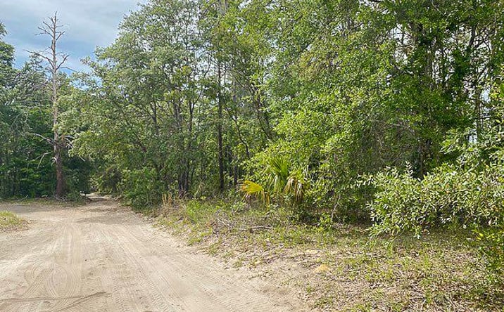 Pictures of Land property located at 67th St, Bronson, FL 32621 for sales - image #1