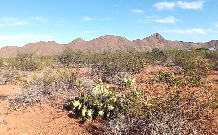 Pictures of Land, Mixed Use property located at TBD Little Yisrael Lane Terlingua, TX 79852, Terlingua, TX 79852 for sales - image #1