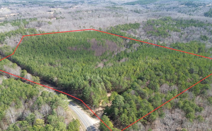 Pictures of Land property located at 000 County Road 28, Haleyville, AL 35565 for sales - image #1