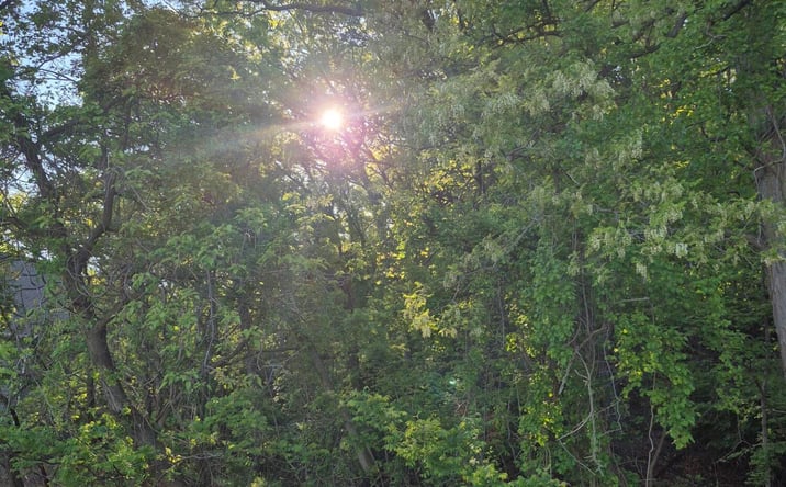 Pictures of Land property located at Warren Road, Michigan City, IN 46360 for sales - image #1