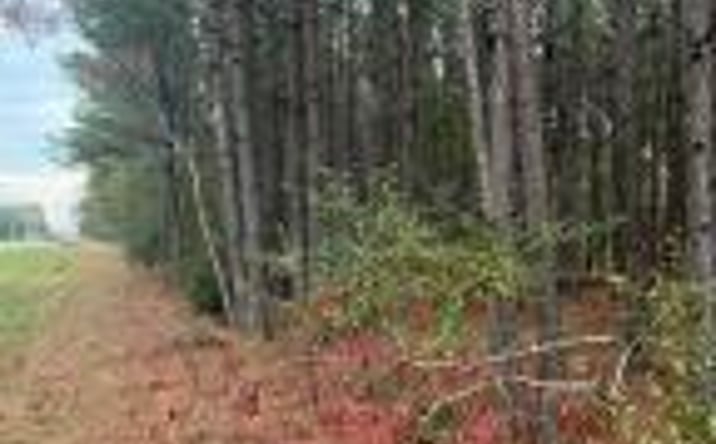 Pictures of Land property located at Dh 3 Wagener Road, Wagener, SC 29164 for sales - image #1