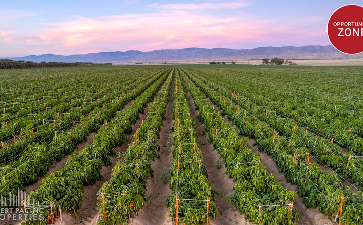 Pictures of Land property located at Ave 72 & Hayes St, Mecca, CA 92254 for sales - image #1