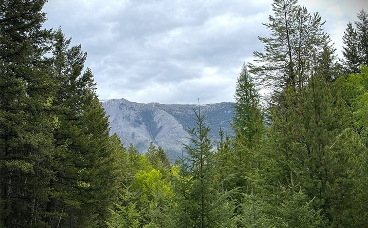 Pictures of Land property located at NHN Lagoon Drive, Trego, MT 59934 for sales - image #1