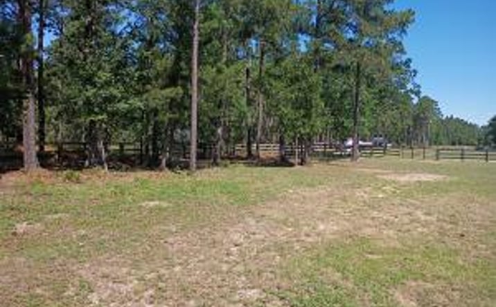 Pictures of Land property located at 180 Ballard Drive, Trenton, SC 29847 for sales - image #1