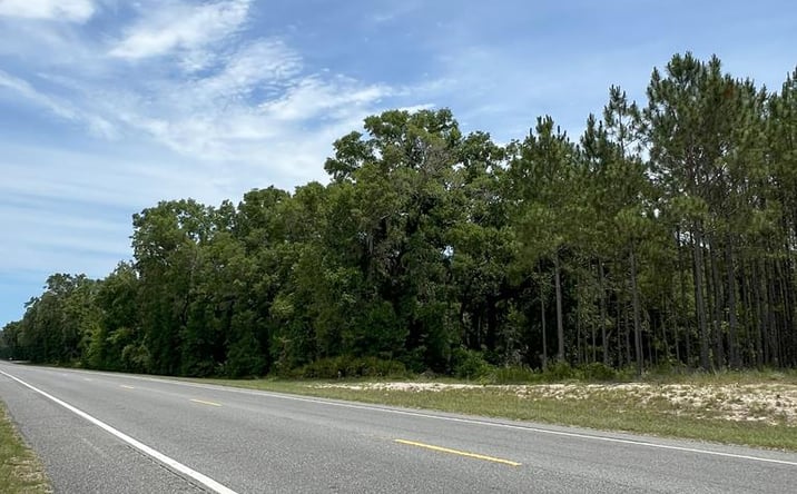 Pictures of Land property located at TBD NE Hwy 349, Old Town, FL 32680 for sales - image #1