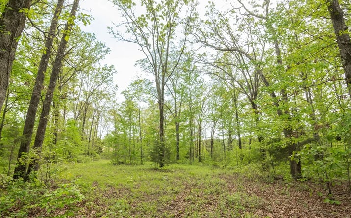 Pictures of Land property located at 123 Bush Drive, Arab, MO 63787 for sales - image #1