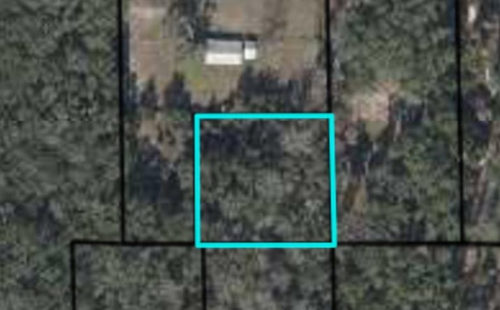 Pictures of Land property located at NE 356th Ave, Old Town, FL 32680 for sales - image #1