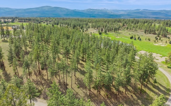 Pictures of Land property located at 216 Sundance Court, Eureka, MT 59917 for sales - image #1