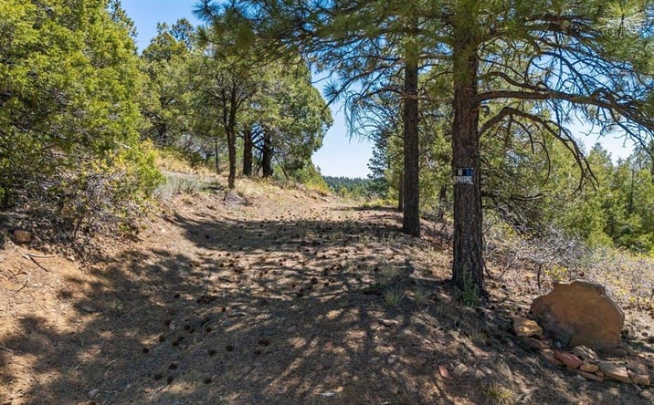 Pictures of Land property located at 275 Logging Trail 151, Durango, CO 81303 for sales - image #1