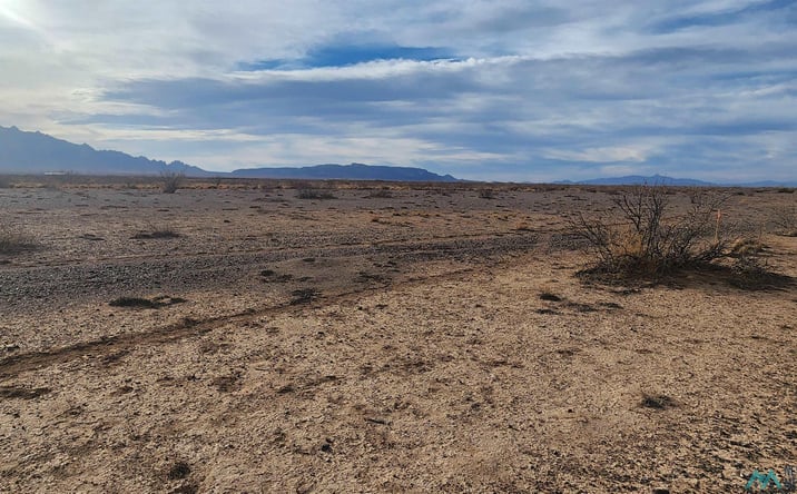 Pictures of Land property located at 00 SE 0b007 Road, Deming, NM 88030 for sales - image #1
