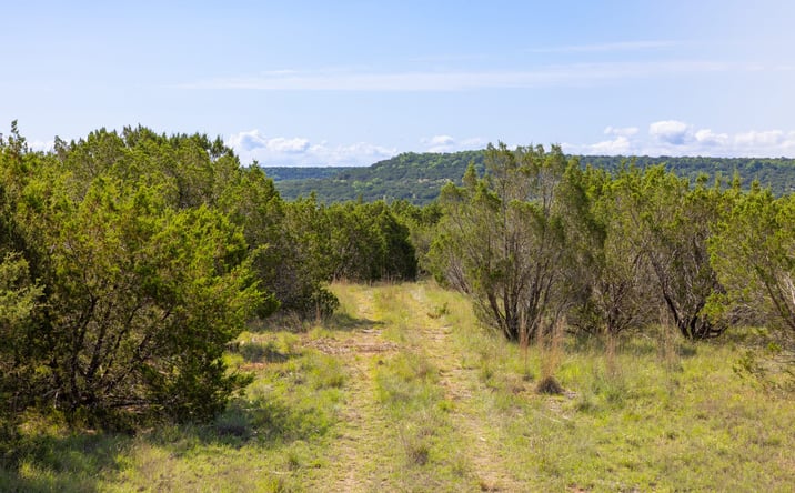 Pictures of Land property located at TBD, Lometa, USA 76853 for sales - image #1