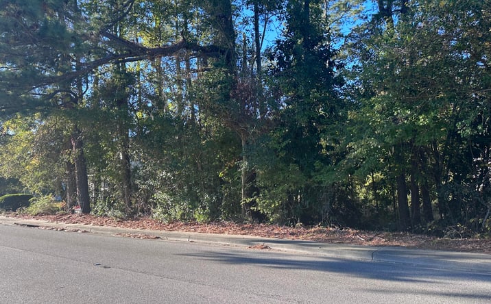 Pictures of Land property located at 0 N Live Oak Drive, Moncks Corner, SC 29461 for sales - image #1