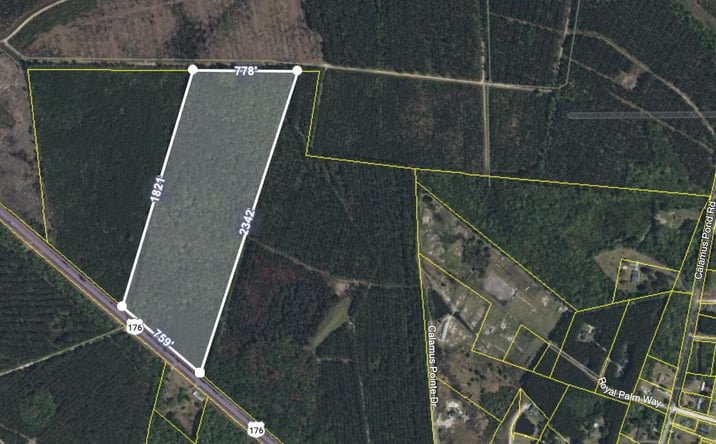 Pictures of Land property located at 2900 Highway 176, Summerville, SC 29486 for sales - image #1