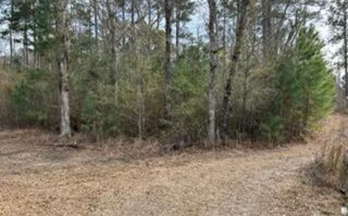 Pictures of Land property located at 0 Gallashaw Road, Summerville, SC 29483 for sales - image #1