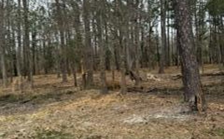 Pictures of Land property located at 755 Orangeburg Road, Summerville, SC 29483 for sales - image #1