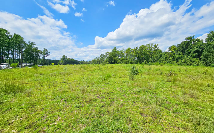 Pictures of Land property located at 0 Bells Highway, Walterboro, SC 29488 for sales - image #1