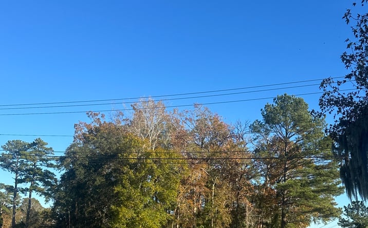 Pictures of Land property located at 1711 Old Trolley Road, Summerville, SC 29485 for sales - image #1