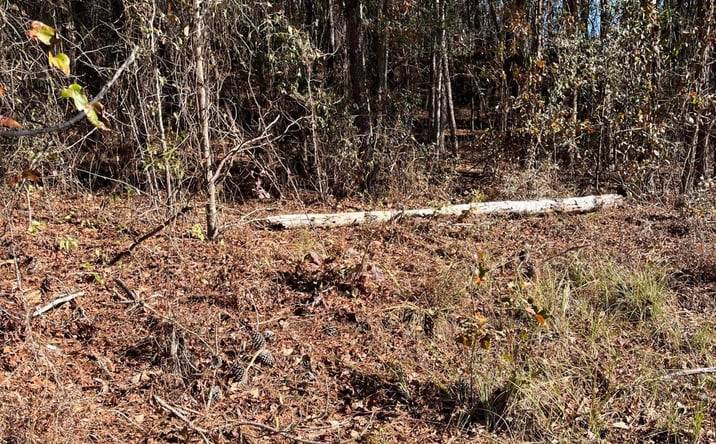 Pictures of Land property located at Ridgewood Drive, Orangeburg, SC 29118 for sales - image #1